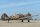 P-40C Tomahawk / 2276mm (2. Wahl)