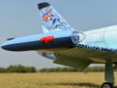 Schutztaschen Set Albatros L-39 / 1890 mm