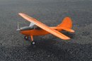 Cessna L-19 Bird Dog / 750 mm