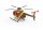 Hughes MD500 Helicopter GPS (Hawaii) RTF
