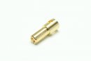 Gold plated bullet connector male 5.5mm (50 pcs.)