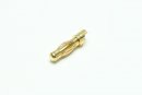 Gold Bullet Connector male 4,0mm (50 pcs.)