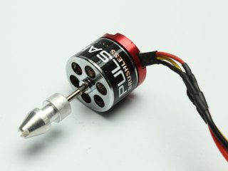 Brushless Motor Domino