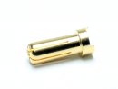 Gold Plug flat style 5.0mm / 10 pcs.