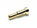 Gold Plug male 4.0 - 5.0mm / 10 pcs.