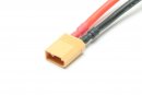 XT30 male plug w/cable